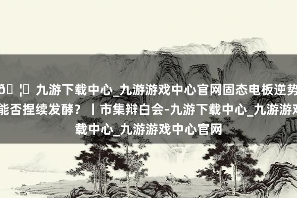 🦄九游下载中心_九游游戏中心官网固态电板逆势高潮 行情能否捏续发酵?丨市集辩白会-九游下载中心_九游游戏中心官网