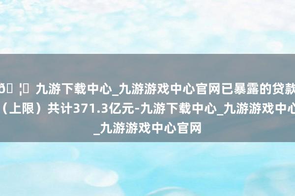 🦄九游下载中心_九游游戏中心官网已暴露的贷款金额(上限)共计371.3亿元-九游下载中心_九游游戏中心官网