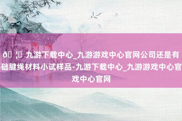 🦄九游下载中心_九游游戏中心官网公司还是有基础腱绳材料小试样品-九游下载中心_九游游戏中心官网