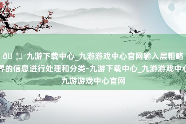 🦄九游下载中心_九游游戏中心官网输入层粗略对外界的信息进行处理和分类-九游下载中心_九游游戏中心官网