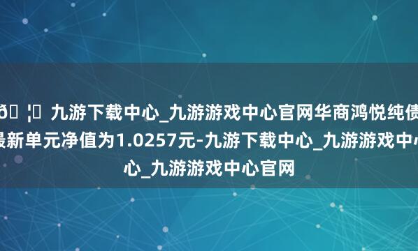 🦄九游下载中心_九游游戏中心官网华商鸿悦纯债债券最新单元净值为1.0257元-九游下载中心_九游游戏中心官网