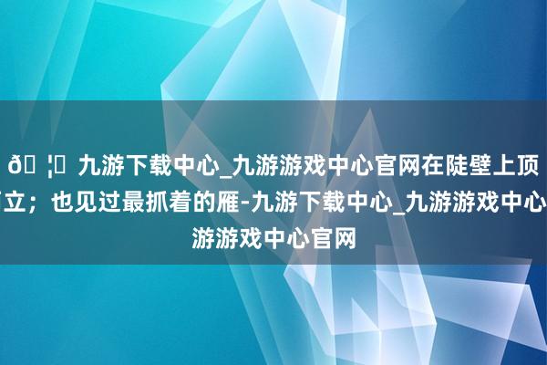 🦄九游下载中心_九游游戏中心官网在陡壁上顶风而立；也见过最抓着的雁-九游下载中心_九游游戏中心官网
